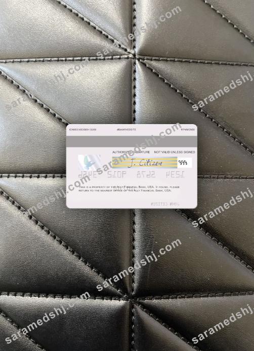 USA Ally Financial Bank visa card photolook back